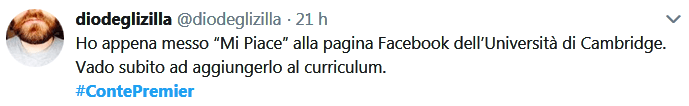 curriculum vitae di Conte